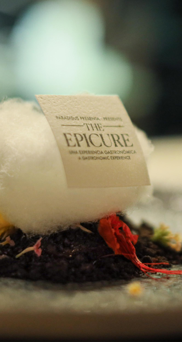 The Epicure by Paradisus